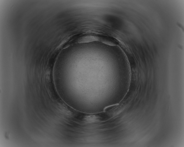 X0000093440269200710121339