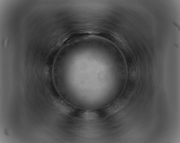 X0000093440270200710121339