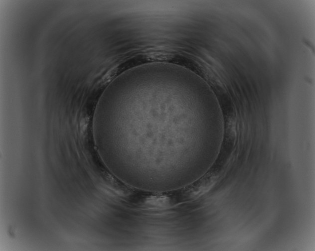 X0000093440271200710121339