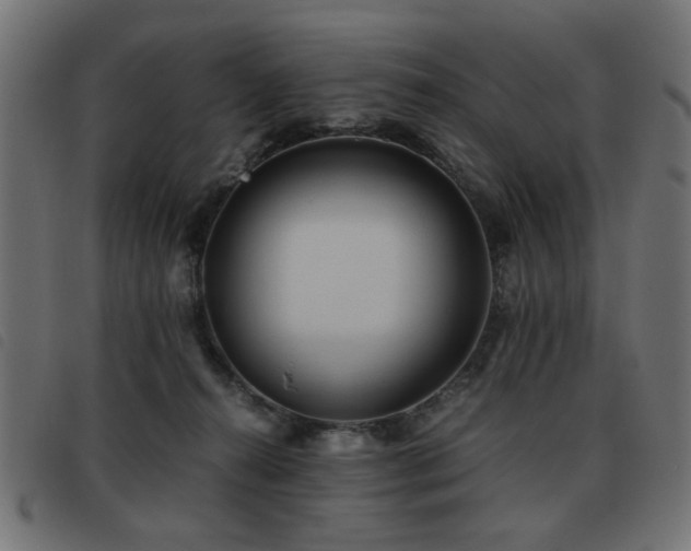 X0000093440272200710121339