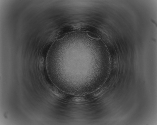 X0000093440275200710121339
