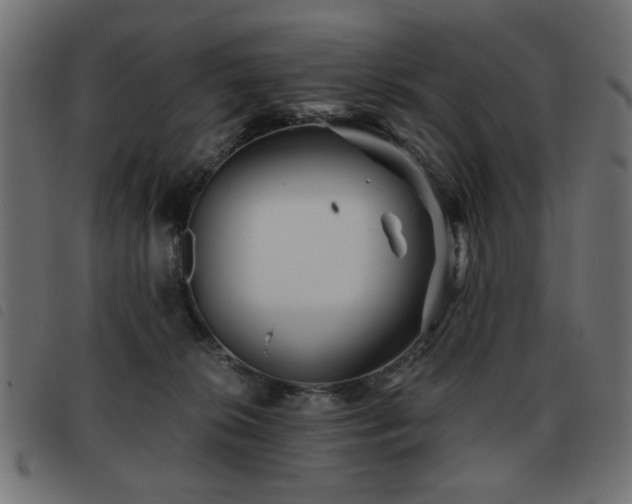 X0000093440276200710121339
