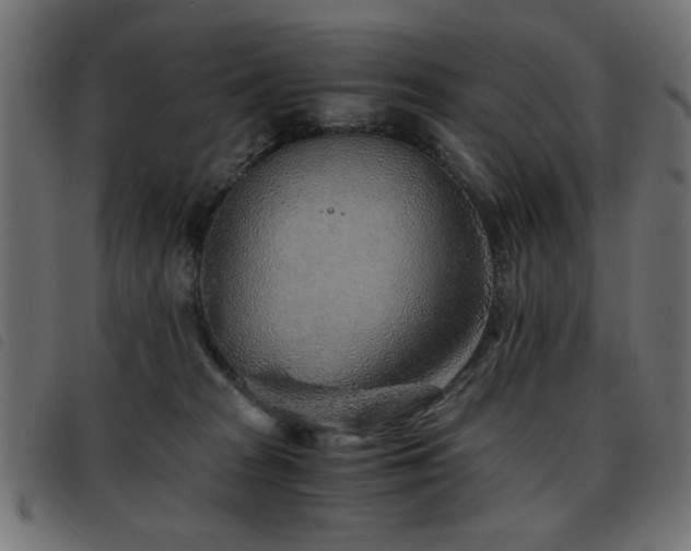 X0000093440277200710121339