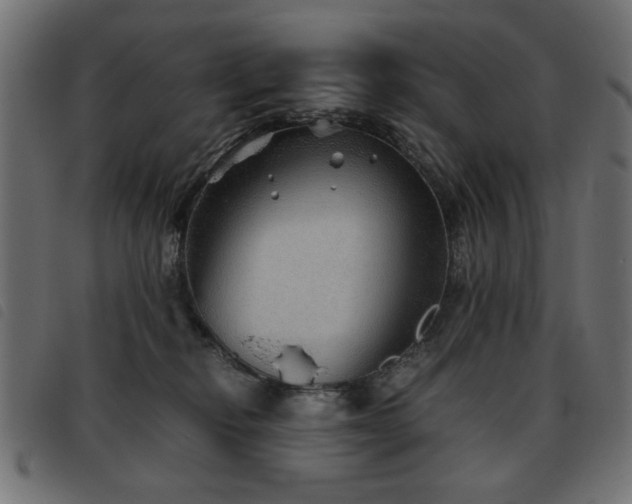 X0000093440278200710121339