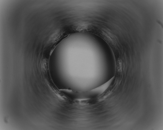 X0000093440280200710121339
