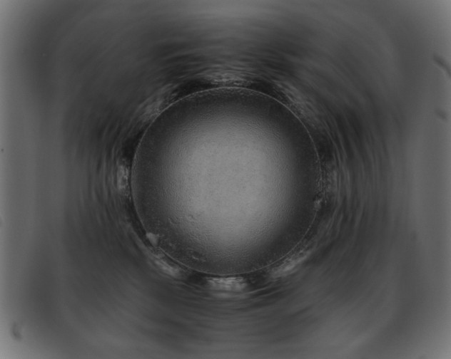 X0000093440281200710121339