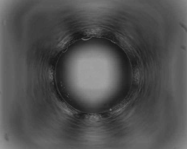 X0000093440282200710121339