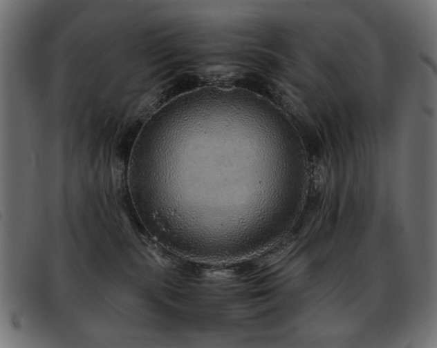 X0000093440283200710121339