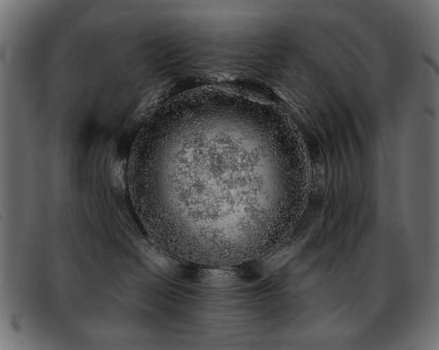 X0000093440286200710121339