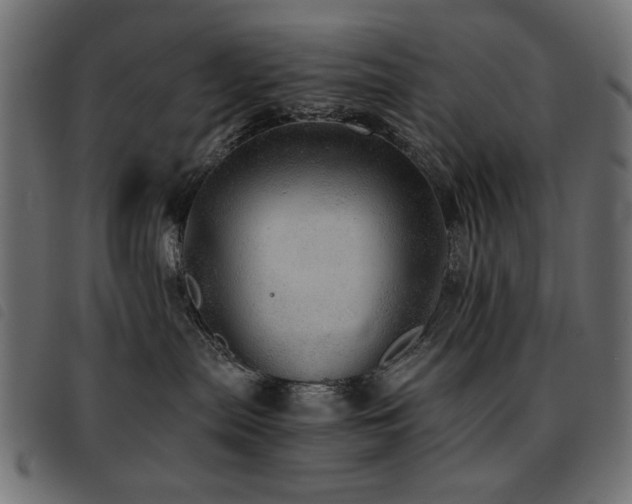 X0000093440287200710121339