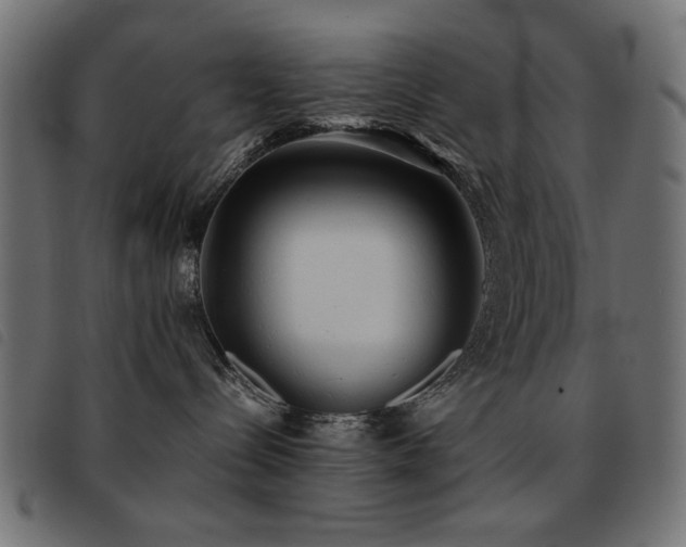 X0000093440288200710121339