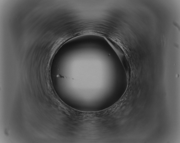X0000093440289200710121339