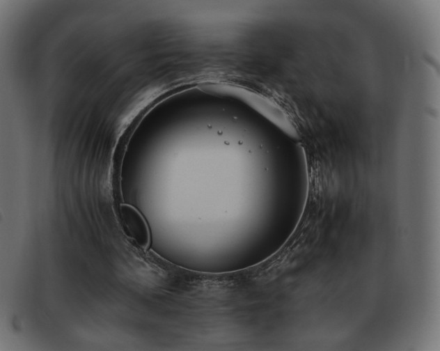 X0000093440292200710121339