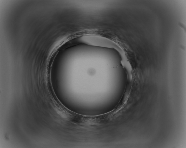 X0000093440293200710121339