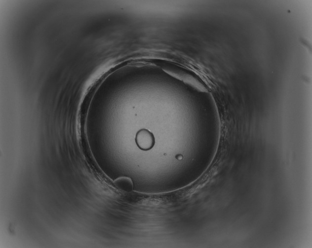 X0000093440294200710121339
