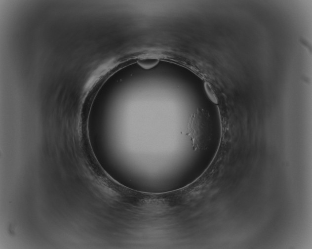 X0000093440296200710121339