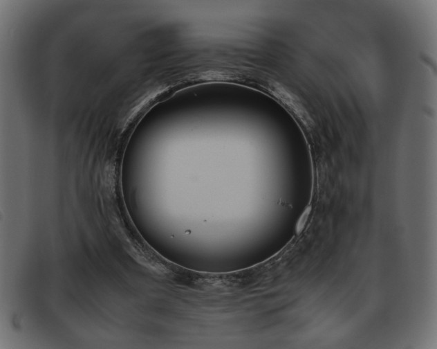 X0000093440297200710121339