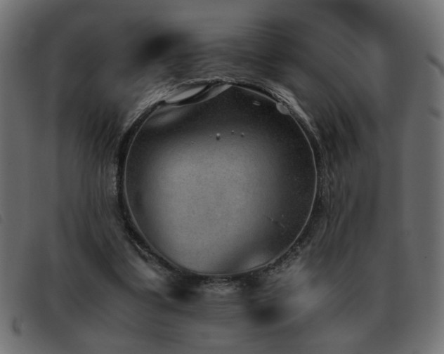 X0000093440299200710121339