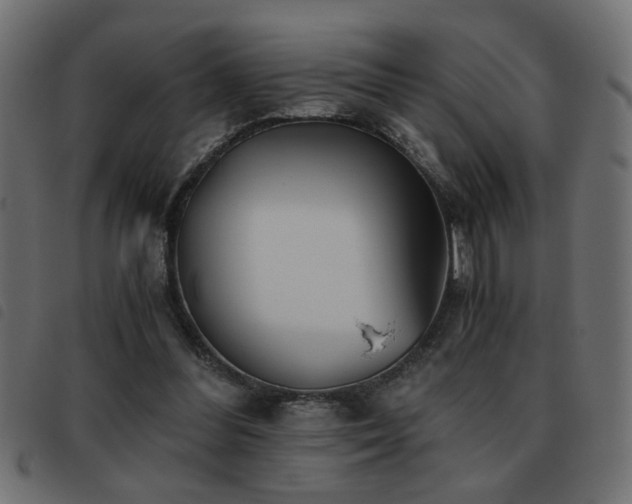 X0000093440300200710121339
