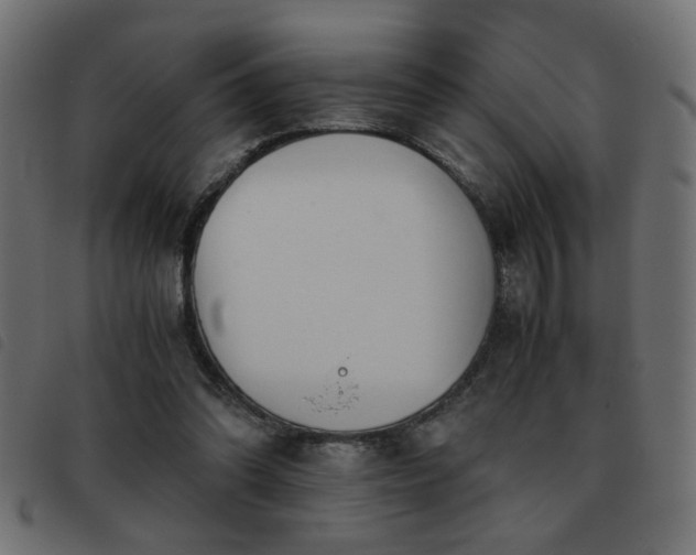 X0000093440302200710121339