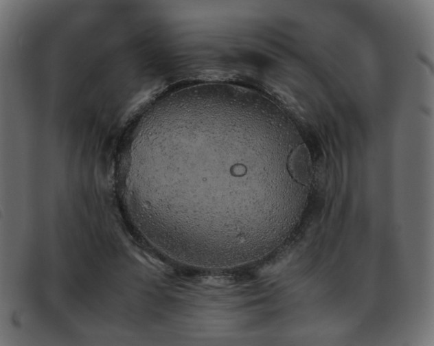 X0000093440303200710121339