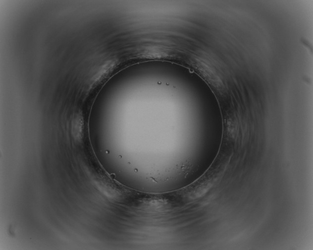 X0000093440304200710121339