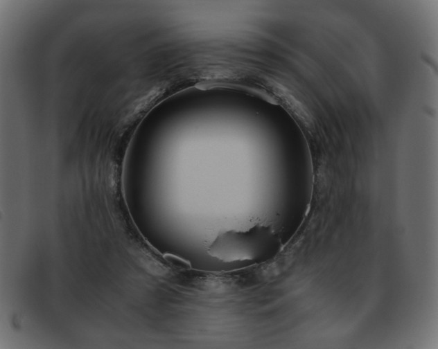 X0000093440305200710121338