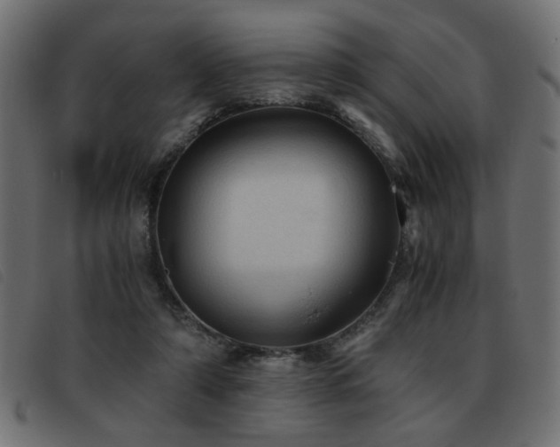 X0000093440306200710121338