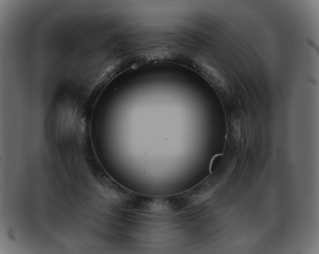 X0000093440308200710121338