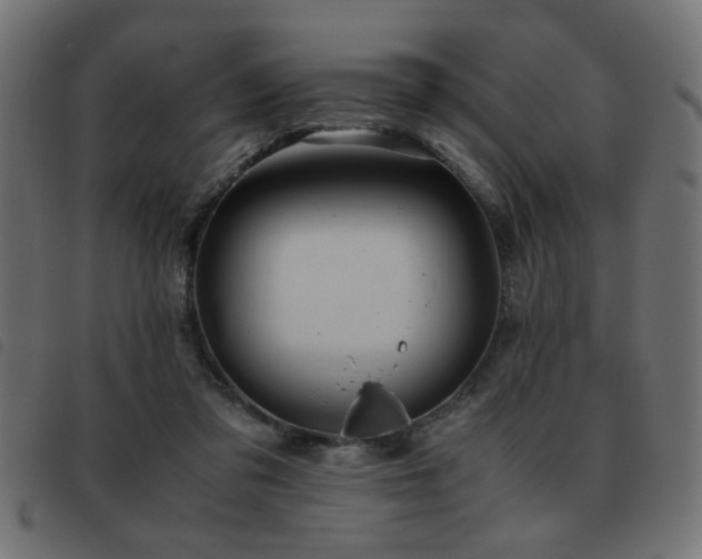 X0000093440309200710121338