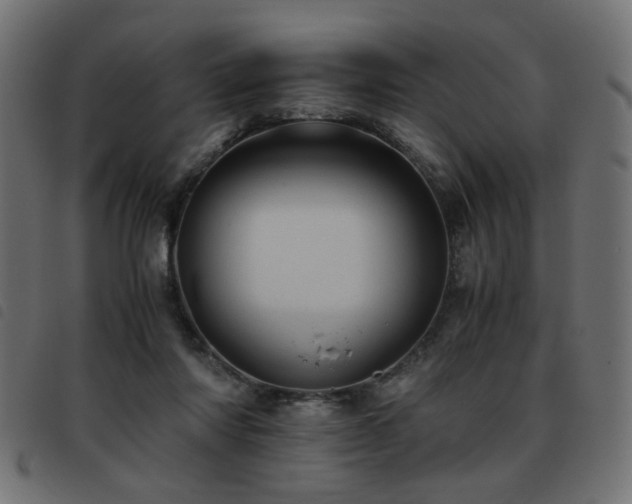 X0000093440310200710121338