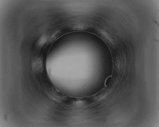 X0000093440312200710121338