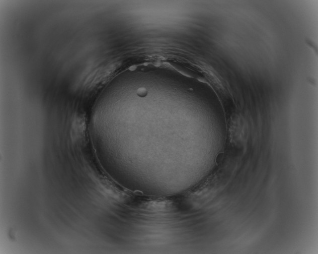 X0000093440314200710121338