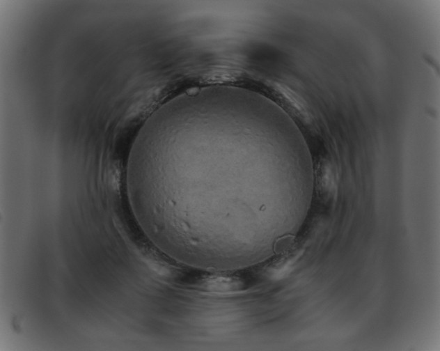 X0000093440315200710121338