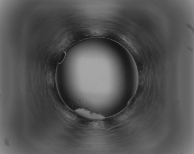 X0000093440317200710121338