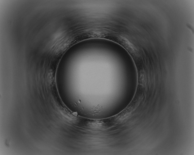 X0000093440318200710121338
