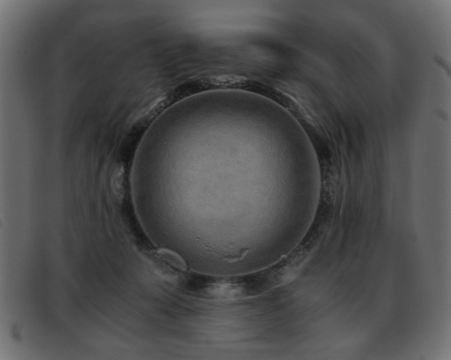 X0000093440319200710121338