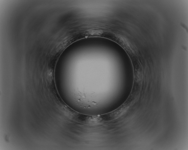 X0000093440321200710121338