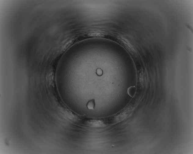 X0000093440322200710121338