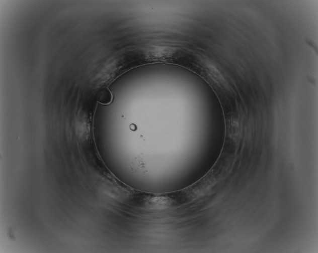 X0000093440324200710121338