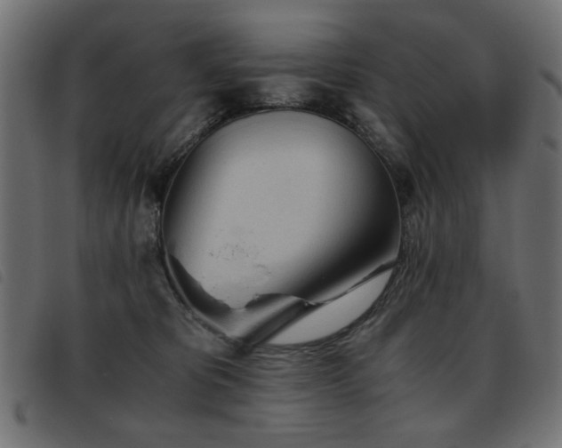 X0000093440325200710121338