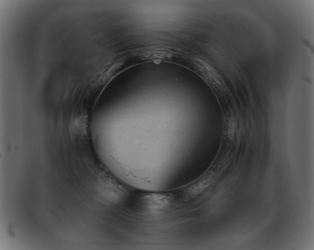 X0000093440326200710121338