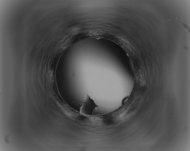 X0000093440327200710121338