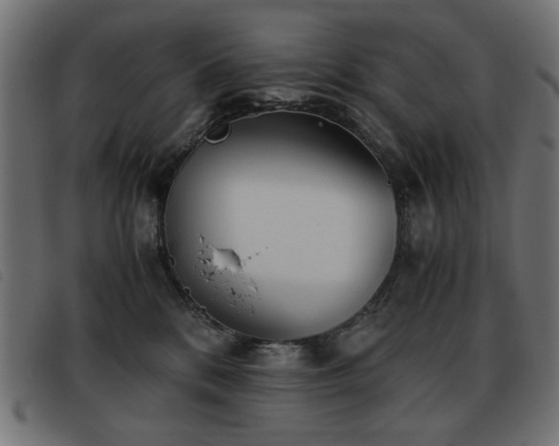 X0000093440328200710121338