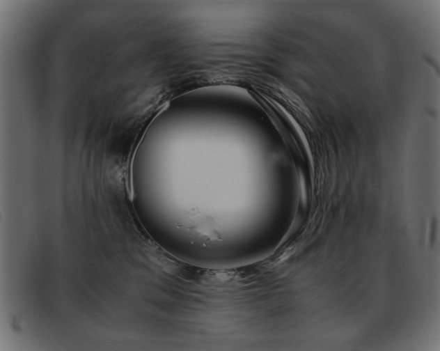 X0000093440329200710121338