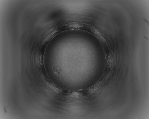 X0000093440330200710121338