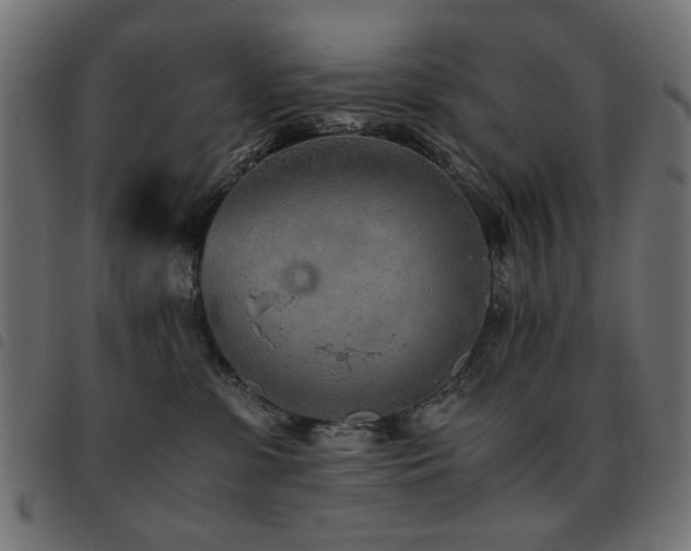X0000093440331200710121338