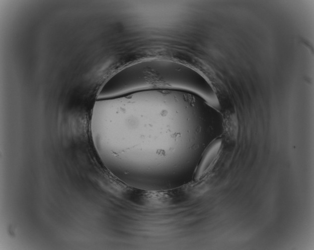 X0000093440333200710121338