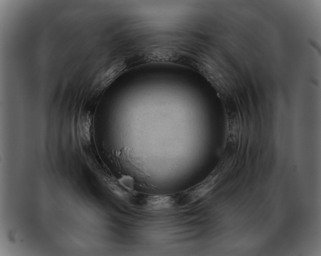 X0000093440334200710121338