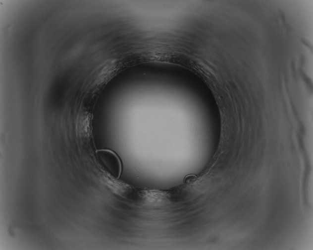 X0000093440336200710121338